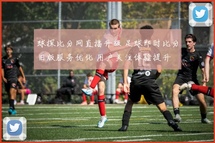 球探比分网直播升级 足球即时比分旧版服务优化 用户关注体验提升